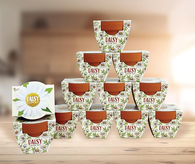 BUZZY Terracotta Mini Grow Pots for Adults and Kids | Daydream Daisy Flower | 12-Count case| Best Gardening Gifts or Party Favors for Wedding, Birthday, Shower, Valentine | Guaranteed to Grow…