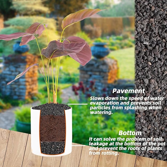 Black Lava Rocks for Plants Decorative Landscaping Plants Top Dressing for Cacti, Succulents Bonsai Plant Drainage Gravel, 3LB