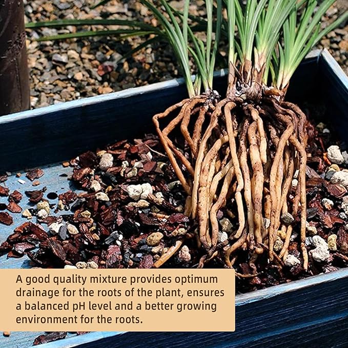 4 Quart Bonsai Soil Mix Lava,Pumice,Pine Bark and Calcined Rock, Natural Organic Mix for Potted PlantsâŠ