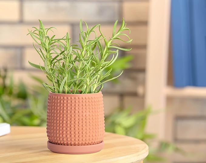 D'vine Dev 4 Inch Terracotta Beaded Planter Pot - Flower Pot with Drainage Holes and Saucers for Indoor Succulent Plants or Flowers,Terracotta, 27-C-Z-7