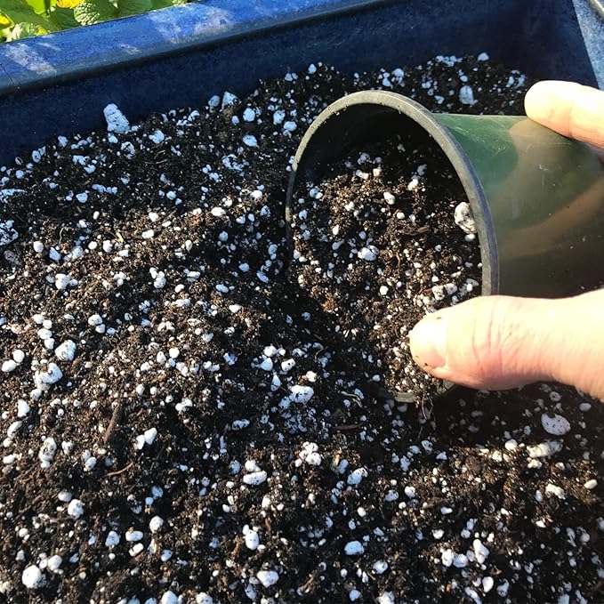 Organic Perlite for Plants, Soil Amendment for Enhanced Drainage and Growth, Ideal for Potting Mixes(2 Quart)