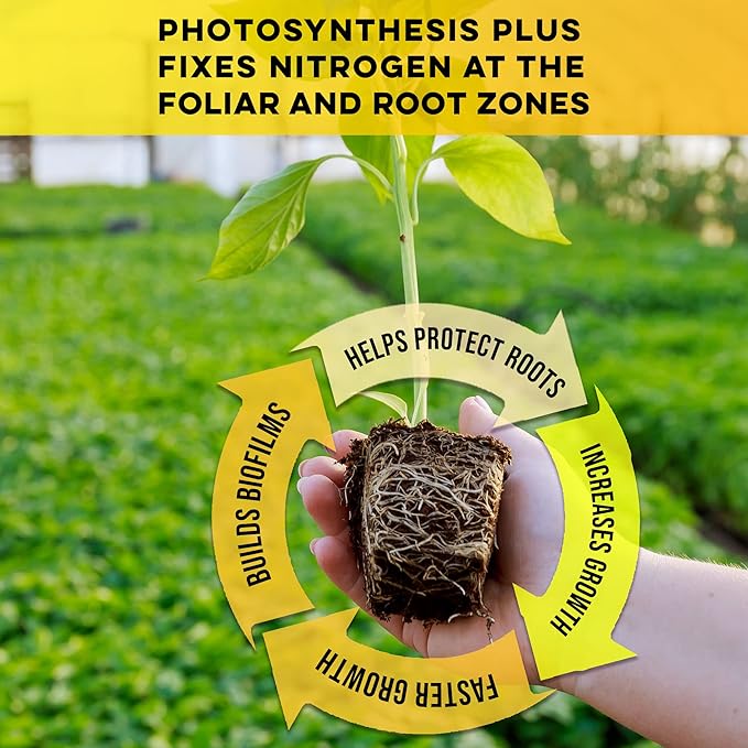 Microbe Life Hydroponics Premium Photosynthesis Plus to Grow Fruits, Vegetables, and Herbs, The Best Professional Big Bud Grow, Use with Any Feeding Systems Including Hydroponics or Soil, 16 Ounces