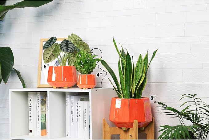 8 Inch Ceramic Planter for Indoor Plants - Plant Pots with Drainage Holes - Modern Minimalist Flower Pot for Succulents and Herbs - Peach