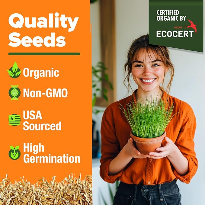 HOME GROWN Organic Cat Grass Seeds Pack 8oz β 7200 π‘π’π‘-ππ π’ π¨π¦π-π¦π’π¨π₯πππ Heirloom Oat & Barley Grass Seeds for Indoor Cats β High Germination Hairball Relief, Pet Grass Ready in 7Days