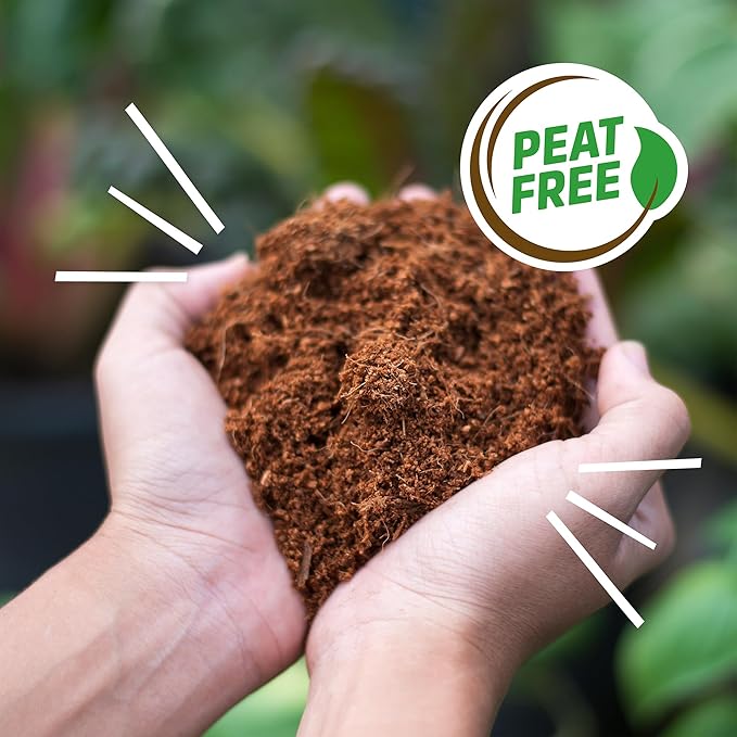 Back to the Roots Organic Coco Coir Value Pack | 10lb Compressed Block Expands to 15 Gallons