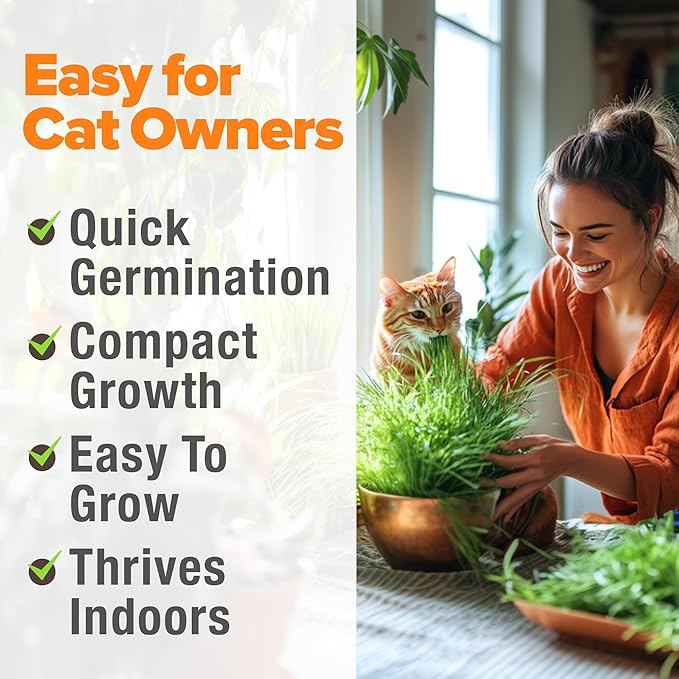 HOME GROWN Organic Cat Grass Seeds Pack 8oz β 7200 π‘π’π‘-ππ π’ π¨π¦π-π¦π’π¨π₯πππ Heirloom Oat & Barley Grass Seeds for Indoor Cats β High Germination Hairball Relief, Pet Grass Ready in 7Days