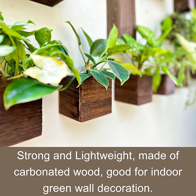 LaLaGreen Wood Planter Box for Plants (2 Pack, 4x4 Inch) Small Square Wall Planters for Indoor Plant, Window Hanging Flower Pot Wooden Boxes for Table Centerpiece Herb Balcony Home Garden Office Decor