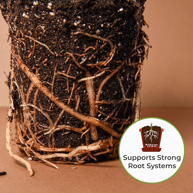 Perfect Plants Organic Snake Plant Soil in 8qt. Bag | Coco Coir Based Potting Mix Snake Plant Varieties
