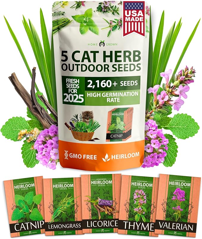 HOME GROWN 2,160+ Cat Plant Seeds Mix β π‘π’π‘-ππ π’ π¨π¦π-π¦π’π¨π₯πππ Heirloom Catnip, Lemongrass, Licorice, Thyme & Valerian β Pet-Friendly Indoor Garden Refill Kit for Cats & Kittens
