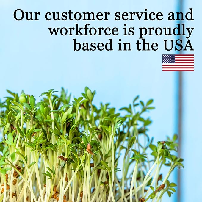 Slow Bolt Cilantro Herb Garden Seeds - 1 Lb ~40,000 seeds - Non-GMO Heirloom Slow Bolt Cilantro Herb Seeds (Coriander) - Outdoor Garden, Indoor Garden, Countertop Microgreens, Organic Micro Greens Kit