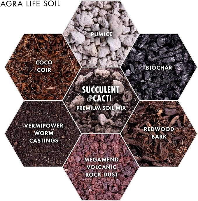 Premium Succulent Soil Mix for Indoor & Outdoor Plants - Fast-Draining Potting Soil for Succulents, Cacti, & Houseplants - Natural Blend with Pumice for Optimal Plant Growth