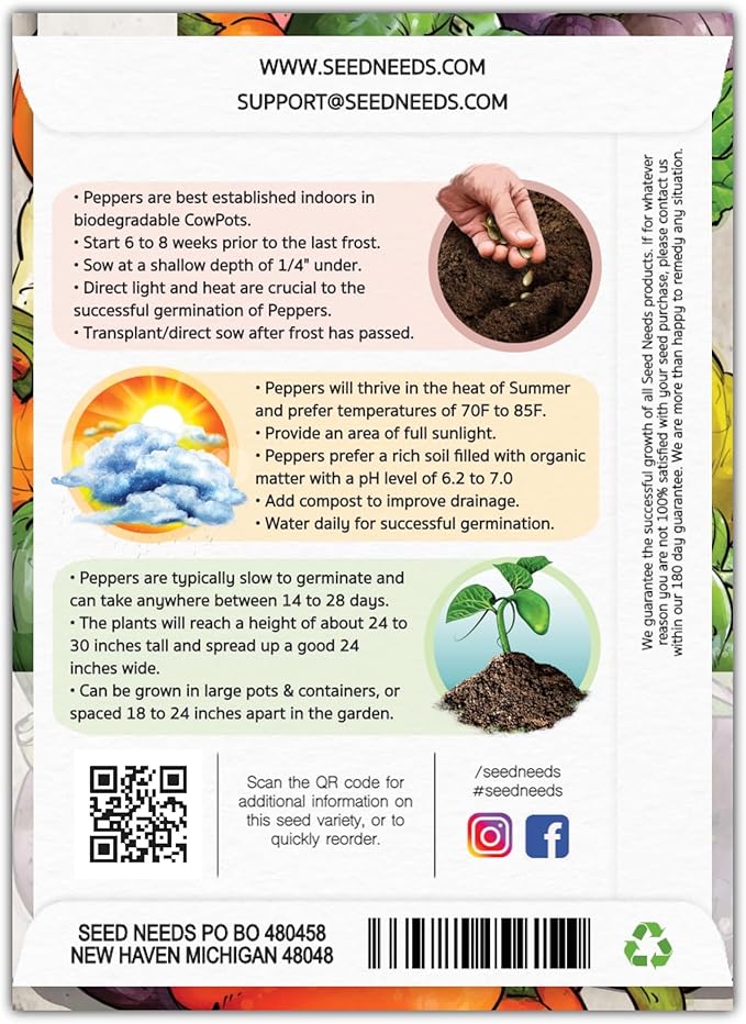Seed Needs Rainbow Bell Pepper Seeds for Planting - Non-GMO, Heirloom & Untreated - Organically Grow a Home Grown Garden Outdoors for Healthy Vegetables (5 Packs)