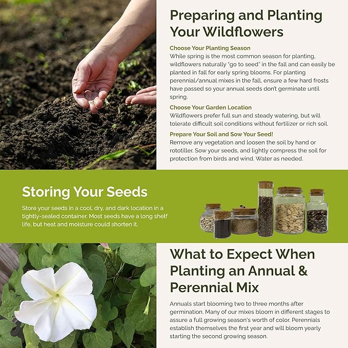 Eden Brothers Top O The Morning Flower Mixed Seeds for Planting, 1/4 lb, 120,000+ Seeds with Morning Glory, Moonflower | Attracts Pollinators, Plant in Spring or Fall, Zones 3, 4, 5, 6, 7, 8, 9, 10