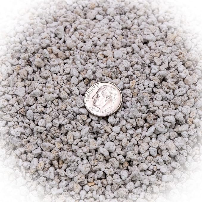 Organic Perlite β Medium/Fine Grade Horticultural Soil Amendment for Indoor & Outdoor Container Plants for Drainage Management and Enhanced Growth (2 Quart)