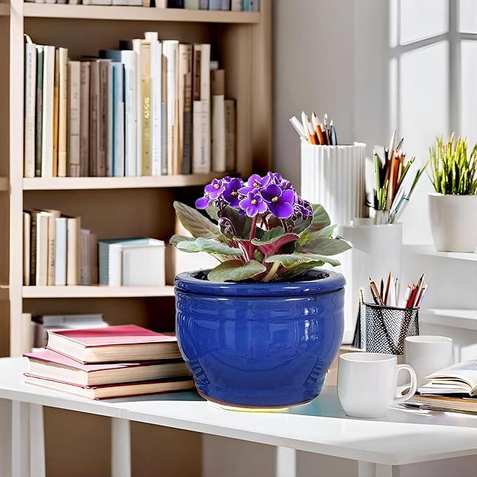 African Violet Pots Self Watering 6 inch Round Ceramic Violet Pot Blue