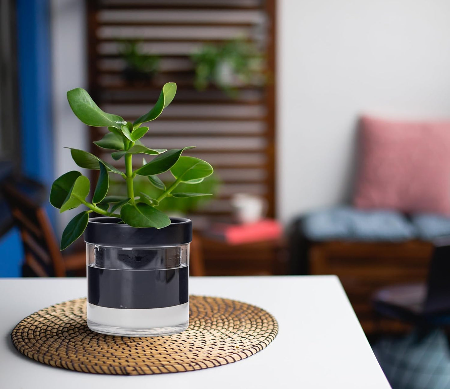 Phoenix Vine 4 Inch Self Watering Terracotta Planter, Black Terracotta Clay Pot with Glass Reservoir for Indoor Plants, Herbs, Flowers, Set of 1, 52-C-E-1