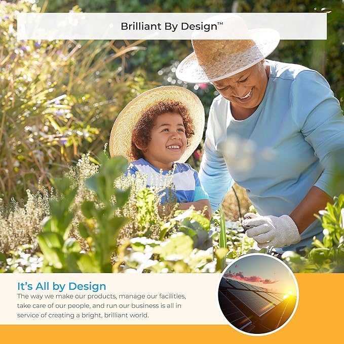 Suncast 33.5-Gallon Capacity Package Delivery Box, Parcel Drop Box with Lock, Weather Resistant Outdoor Storage Solution for Secure Package Deliveries, Made in USA