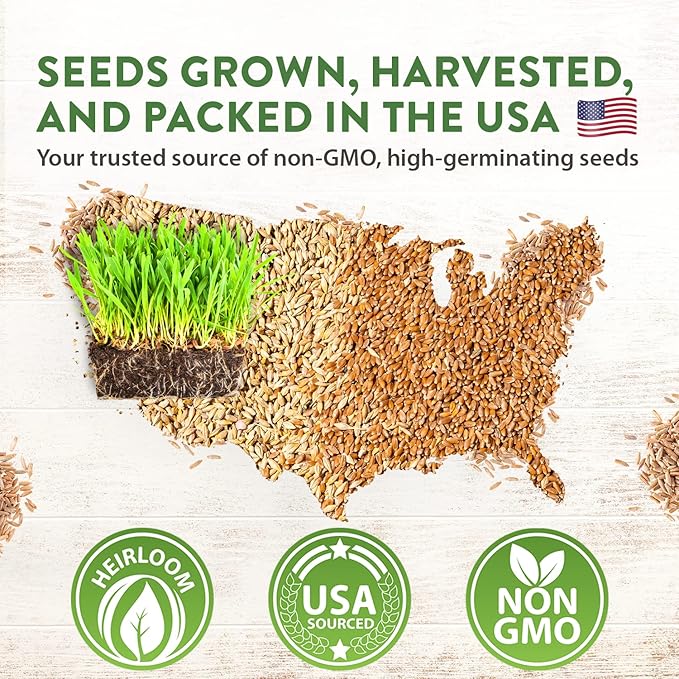 HOME GROWN 30,000+Cat Grass Seeds (6oz) π‘π’π‘-ππ π’ π¨π¦π Heirloom Barley & Oat Mix β Refill for Indoor Cat Grass Growing Kit β Safe Healthy Green Grass for Cats β Pet Grass for Eating & Digestion