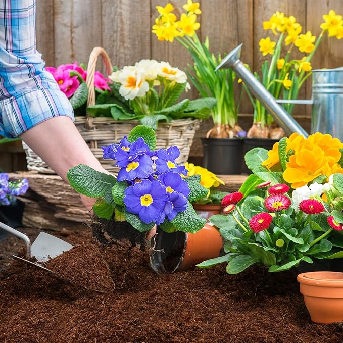 ZeeDix 150pcs(30mm) Compressed Coco Coir Fiber Potting Soil- Coir Medium, Coconut Soil for Indoors or Outdoors, Bonsai, Herbs, Plants, Flowers and Vegetables