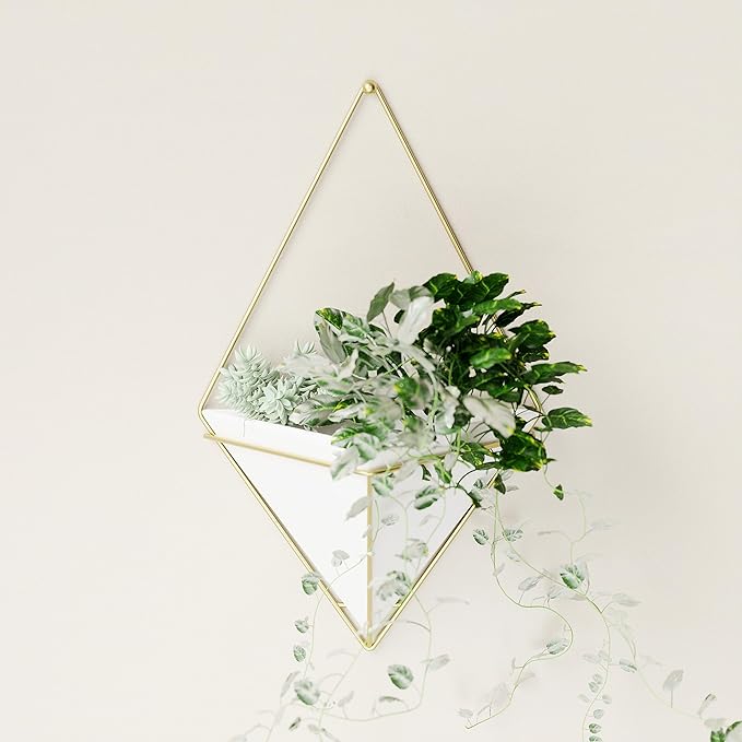 Umbra Trigg Hanging Planter Vase Wall Decor, Pot and Container for Succulents, Cactus, Faux Plants, and More, Large, White/Brass