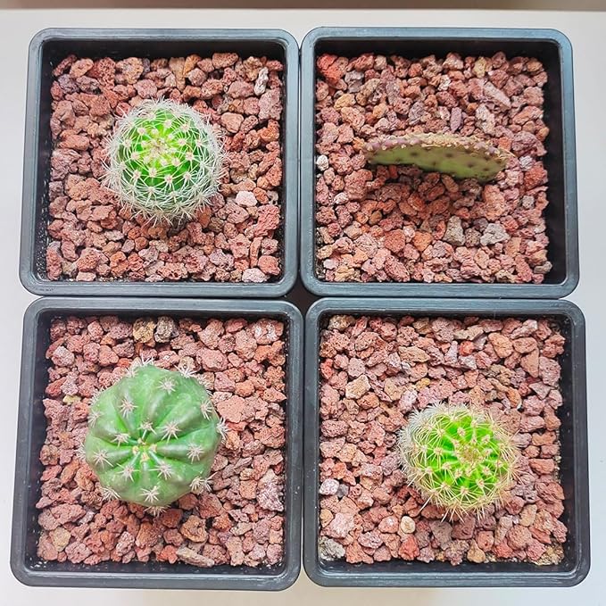 Red Horticultural Lava Rocks for Plants, 2lb Succulents Cactus Bonsai Soil Volcanic Rocks for Aquarium Outdoor Decorative Stones for Craft Projects, Vase Fillers