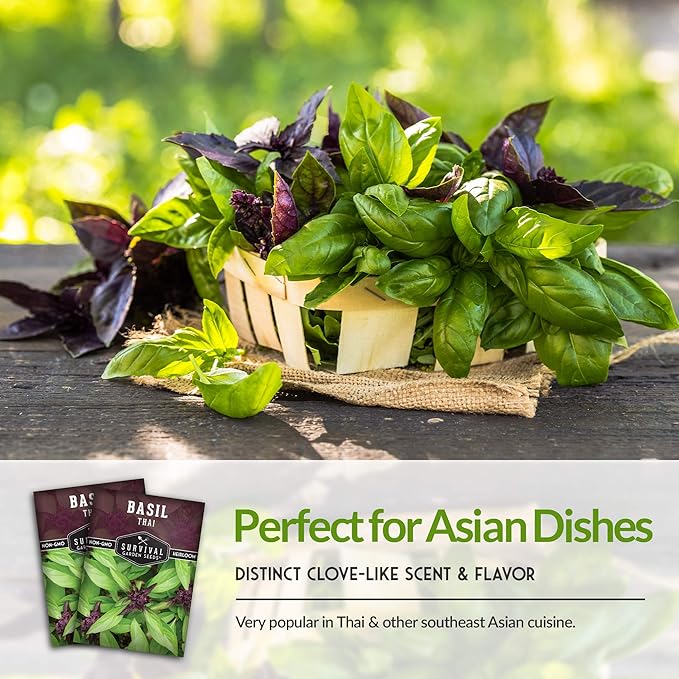 Survival Garden Seeds - Thai Basil Seed for Planting - Packet with Instructions to Plant and Grow Asian Basil Indoors or Outdoors in Your Home Vegetable Garden - Non-GMO Heirloom Variety - 2 Pack