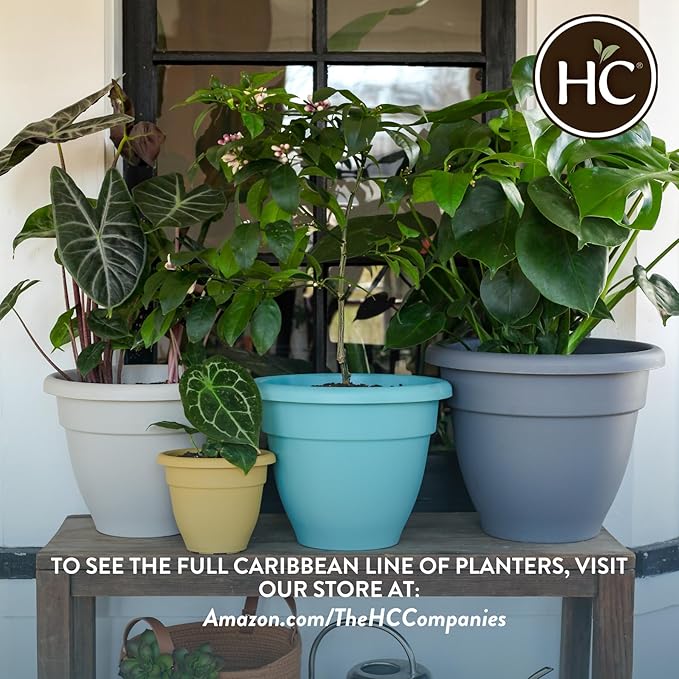 The HC Companies 6 Inch Caribbean Planter - Lightweight Indoor Outdoor Plastic Plant Pot for Herbs and Flowers, White (4 Pack)