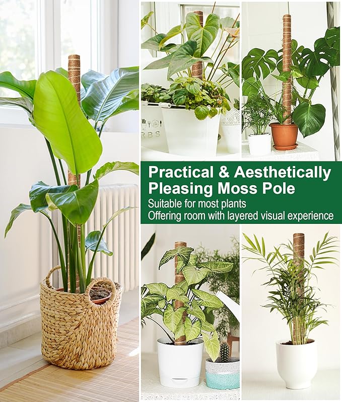 EAONE Moss Pole 96 Inch, 6 Pack 16" Monstera Plant Support for Climbing Potted Live Plants Indoor, Stackable Coco Coir Moss Sticks Monstera Stakes for Pothos Philodendron, with Garden Labels & Ties