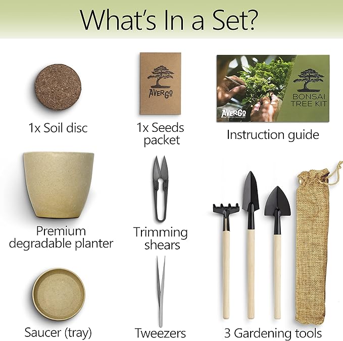 Bonsai Starter Kit – 1x Jacaranda Bonsai Tree | Complete Indoor Starter Kit for Growing Bonsai Plants with Tools & Planters – Gardening Gifts for Women & Men