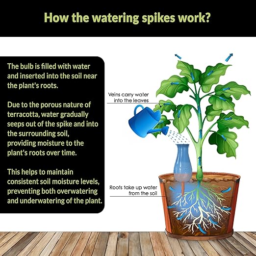 Plant Watering Globe Drip Irrigation Stakes- Extra Large Improved Drip Easy-Refill 4 Week Waterer System with Large Reservoir Bulbs - Automatic Self-Watering Device for Indoor & Outdoor