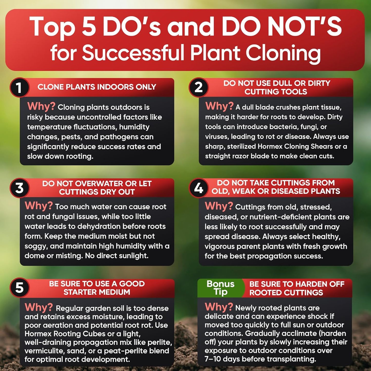 Hormex Rooting Cubes - Peat Moss & Coco Plugs for Cloning Plants from Cuttings and Seed Starting - Organic Plant Starter for Strong Root Growth - Ideal for Home, Indoor and Outdoor Gardening - 50 Pack