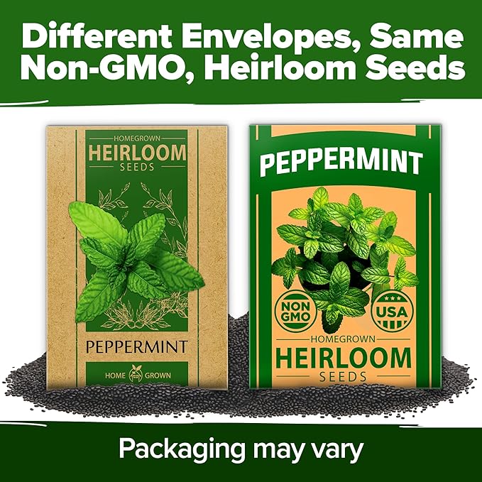 HOME GROWN Peppermint Seeds Pack – 2,370 Non-GMO, Heirloom Mint Seeds for Planting. Grow Peppermint Plants in Your Herb Garden Indoors or Outdoors (Mentha × piperita)
