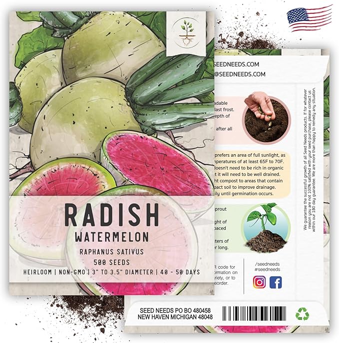 Seed Needs Watermelon Radish Seeds for Planting - Non-GMO, Heirloom & Untreated - Organically Grow a Home Grown Vegetable Garden - Cool Weather Crops (1 Pack)