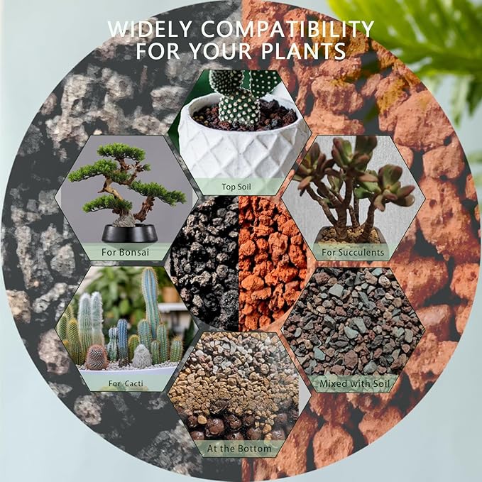 Lava Rocks for Plants, 2lbs Volcanic Stones Gravel Horticultural Drainage Potting Soil for Indoor Outdoor Plants, Succulents, Bonsai, Cactus, Vase Fillers, Top Dressing (2LBS, Black, 1)