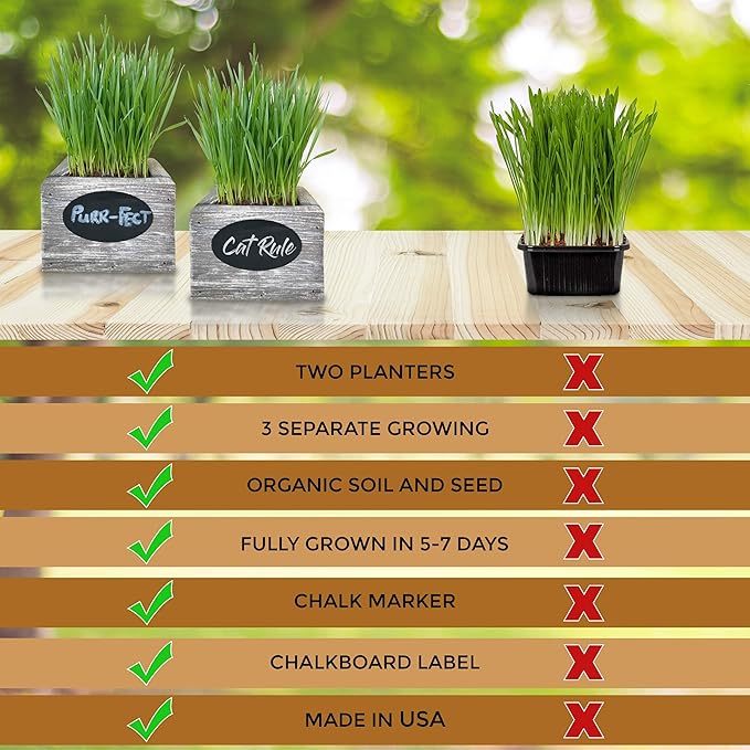Cat Grass for Indoor Cats Kit – Organic Wheatgrass Seed & Soil, Hairball Remedy in Red Cedar Planter, Gift Box with Bonus Label, Pen & 10% Cat Treats Discount (Coast)