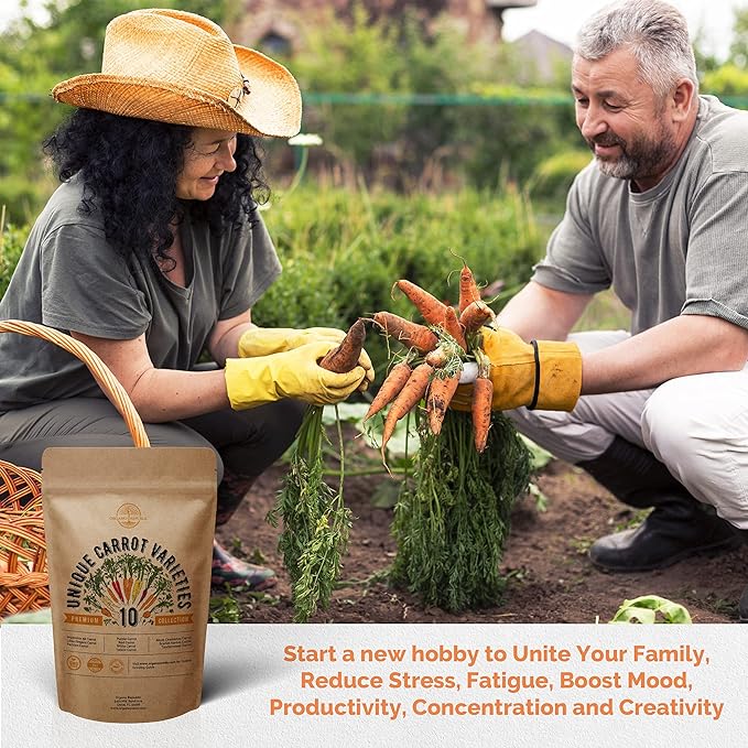 Organo Republic 10 Unique Carrot Seeds Variety Pack - 7,550+ Non-GMO Heirloom Carrot Seeds for Outdoor & Indoor Home Gardening, Including Carrot Imperator 58, Little Fingers, Scarlet Nantes, Parisian