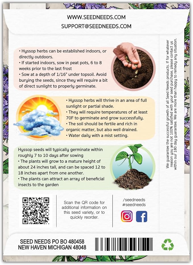 Seed Needs, Blue Hyssop Seeds - 500 Heirloom Seeds for Planting Hyssopus officinalis - Medicinal Herb for an Indoor/Outdoor Garden, Non-GMO & Untreated (5 Packs)