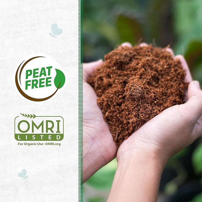 Back to the Roots Organic Coco Coir Value Pack | 10lb Compressed Block Expands to 15 Gallons