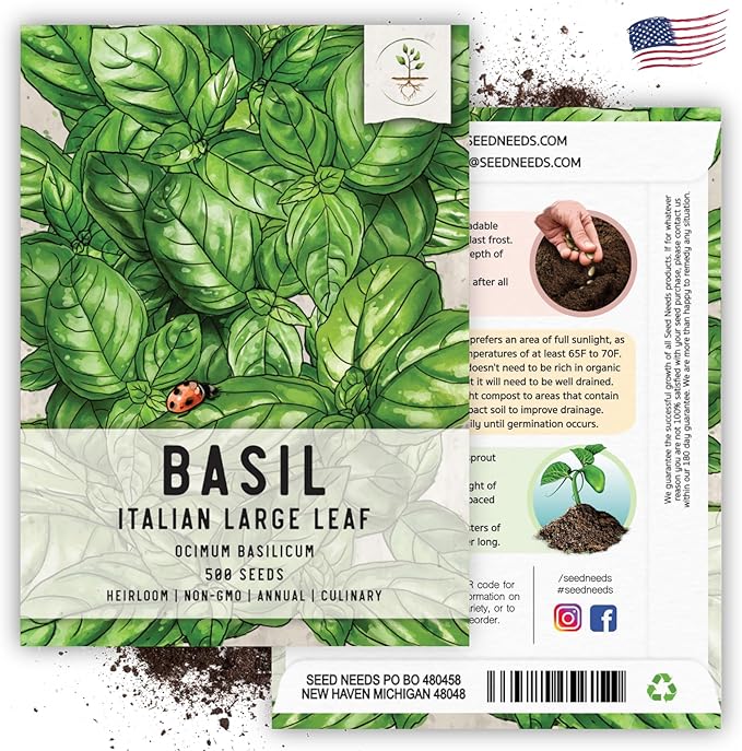 Seed Needs Italian Large Leaf Basil Seeds for Planting - Non-GMO, Heirloom & Untreated - Organically Grow an Indoor or Outdoor Home Grown Herb Garden (5 Packs)