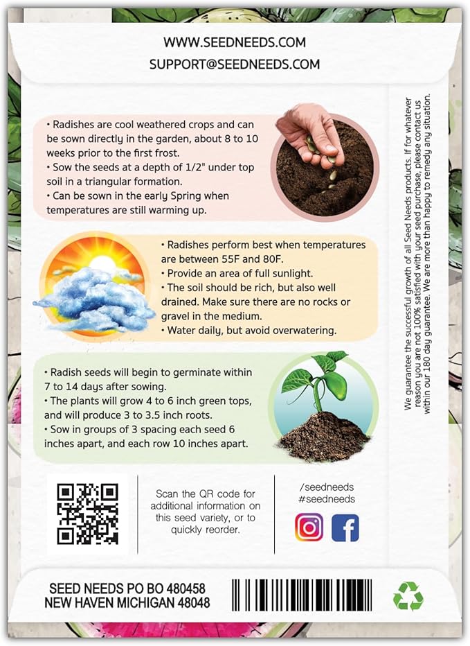 Seed Needs Watermelon Radish Seeds for Planting - Non-GMO, Heirloom & Untreated - Organically Grow a Home Grown Vegetable Garden - Cool Weather Crops (5 Packs)