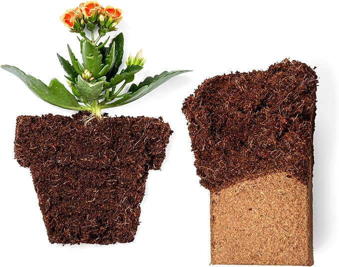 Coco Bliss 650gm Bricks (5-Pack) - Organic Coco Coir for Plants - OMRI-Listed Coco Coir for Garden Soil & Potting Mixes - Coconut Fiber Mixes with Potting Soil for Indoor Plants & Outdoor Plants