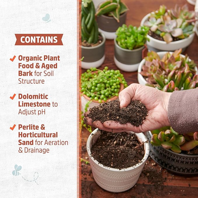 Back to the Roots 100% Organic Succulent & Cacti Mix (Value 12 Quart) | Made in The USA
