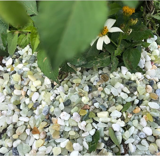 3lb Jade Bean Sand Stone-Succulents and Cactus Bonsai DIY Projects Rocks,Decorative Gravel for Plants and Vases Fillers,Terrarium,Fairy Gardening,Natural Stone Top Dressing for Potted Plants (5mm-8mm)