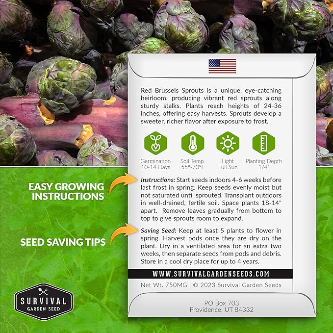 Red Brussels Sprouts Seed for Planting - 1 Packet with Instructions to Plant & Grow Unique Brassica Plants in Your Home Vegetable Garden- Non-GMO Heirloom Variety Seed - Survival Garden Seeds