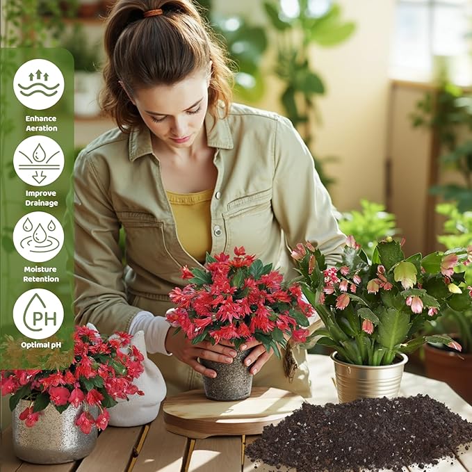 Christmas Cactus Potting Soil Mix 10qt, Ideal for Succulents, Christmas Cacti, and Other Indoor Potted Plantings