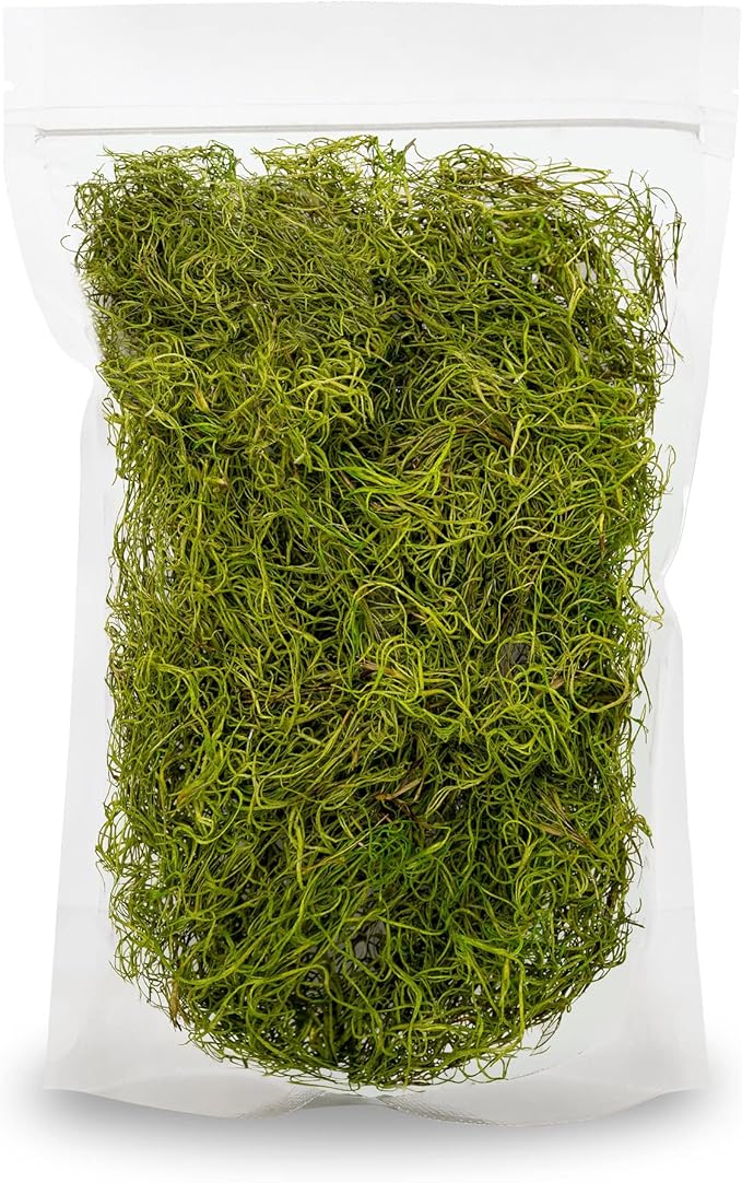 Premium Spanish Moss in Spring Green| Natural Preserved - Great Ground Cover - Filler for Potted Plants - by GARDENERA - 2 Quart Bag