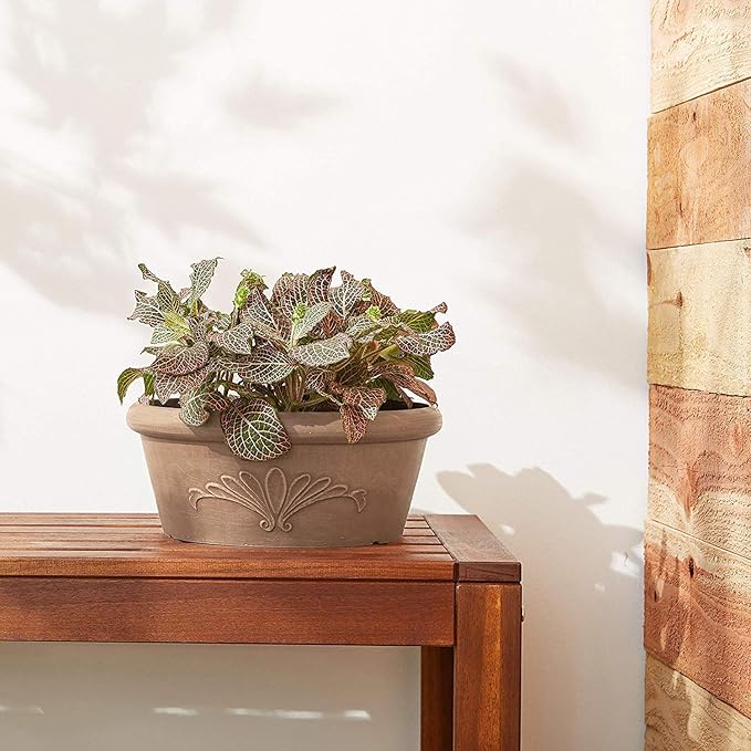 Arcadia Garden Products PSW Pot TA30TP Collection Shallow Bulb Pan Planter Dish Low Bowl for Succulents, Bonsai, Fairy Gardens, Herbs, 12-inch, Taupe