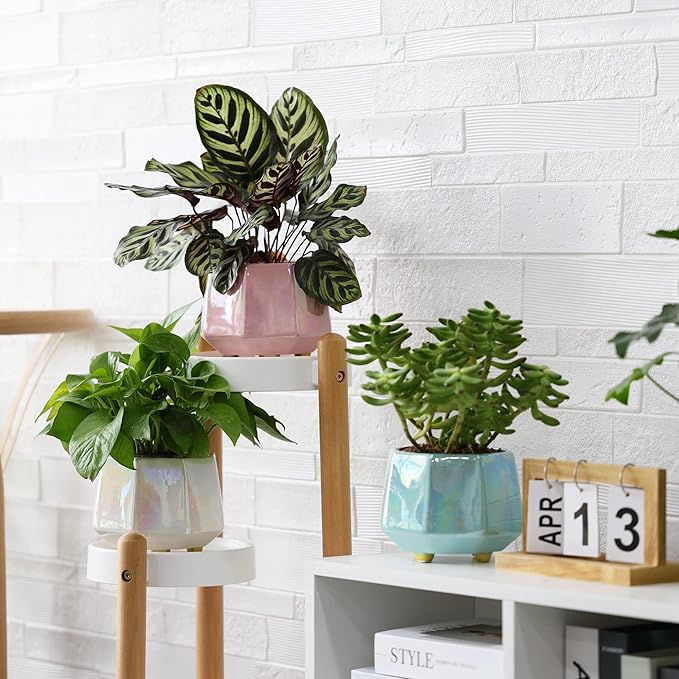 6 Inch Ceramic Planter for Indoor Plants - Plant Pots with Drainage Hole - Modern Minimalist Flower Pot for Succulents and Herbs