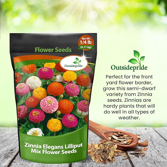 Outsidepride Zinnia Seeds - 1/4 Lb. Annual Blend of Hardy Compact Mixed Color Ball-Shaped Blooms for Planting in Outdoor Containers, Borders, Flower Beds, Cutting Gardens & Pollinator-Friendly Spaces