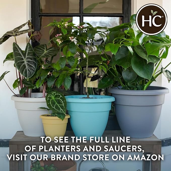 The HC Companies 12 Inch Caribbean Planter - Lightweight Indoor Outdoor Plastic Plant Pot for Herbs and Flowers, Warm Gray